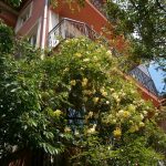 Agentie imobiliara sector 1 Vanzare vila Ion Mihalache Domenii – Agentie IMOBILIARA sector 1