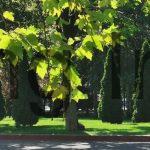 Agentie imobiliara sector 1 Inchiriere apartament 3 camere 112mp Bd Unirii – Agentie IMOBILIARA sector 1