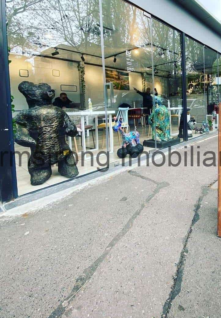 Spatiu comercial Primaverii Charles de Gaulle