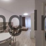 Agentie imobiliara sector 1 Inchiriere 2 camere Pipera Porsche – Agentie IMOBILIARA sector 1