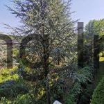 Agentie imobiliara sector 1 Apartament 2 Camere de Vanzare in Zona de Nord Pipera – Aproape de Lidl – Agentie IMOBILIARA sector 1