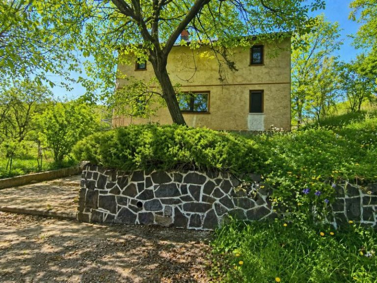 Agentie imobiliara sector 1 1