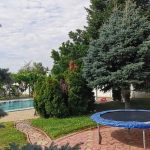 Agentie imobiliara sector 1 Vila superba cu piscina si gradina superba in Domnesti – 460 mp utili, teren 2600 mp – Agentie IMOBILIARA sector 1