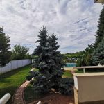 Agentie imobiliara sector 1 Vila superba cu piscina si gradina superba in Domnesti – 460 mp utili, teren 2600 mp – Agentie IMOBILIARA sector 1