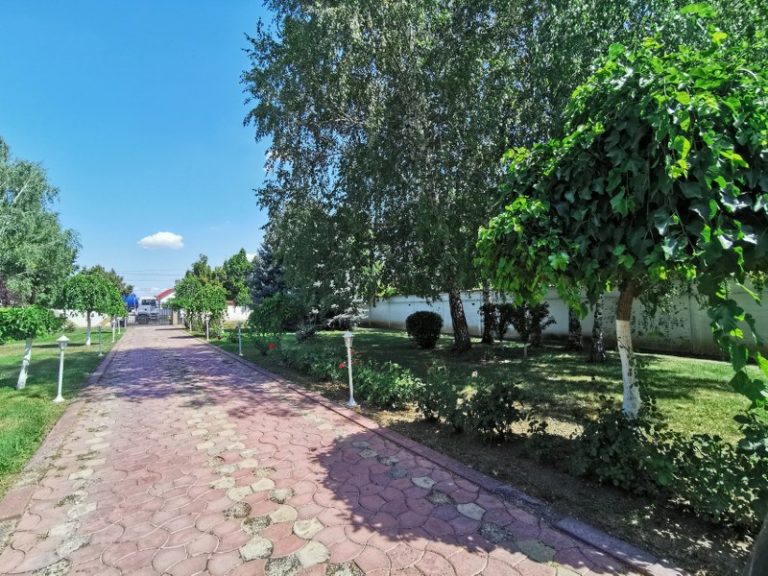 Agentie imobiliara sector 1 Vila superba cu piscina si gradina superba in Domnesti – 460 mp utili, teren 2600 mp – Agentie IMOBILIARA sector 1