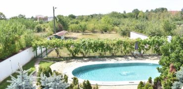 Vila superba cu piscina si gradina superba in Domnesti – 460 mp utili, teren 4200 mp