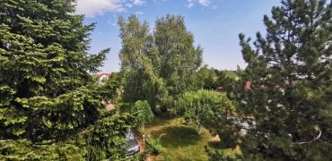Vila cu piscina si gradina superba de  2600 mp in Domnesti stradal