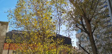 Vanzare apartament 3 camere Polona – zona centrala, linistita si cu acces excelent