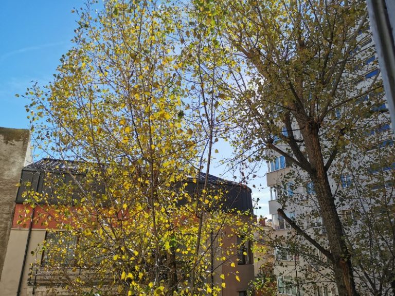 Vanzare apartament 3 camere Polona – zona centrala, linistita si cu acces excelent – Agentie IMOBILIARA sector 1