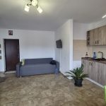 Agentie imobiliara sector 1 9