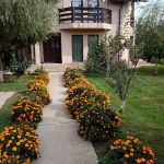 Agentie imobiliara sector 1 Casă de vânzare Domnești Teghes – proprietate individuală, zonă verde, aproape de București – Agentie IMOBILIARA sector 1