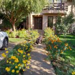 Agentie imobiliara sector 1 Casă de vânzare Domnești Teghes – proprietate individuală, zonă verde, aproape de București – Agentie IMOBILIARA sector 1
