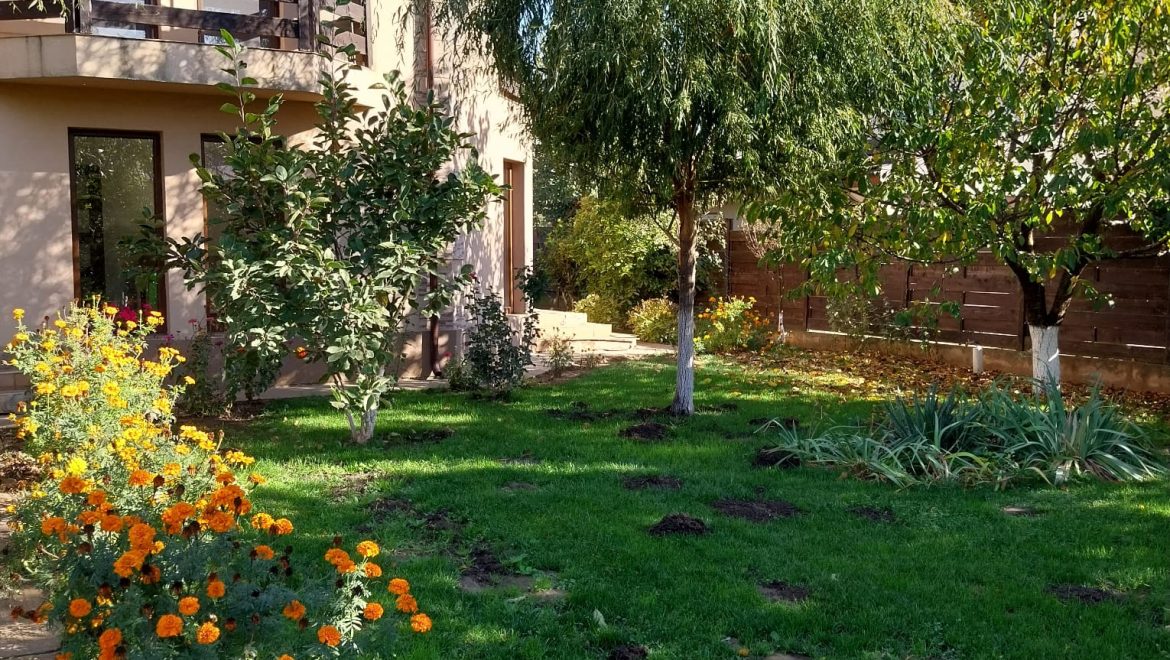 Casă de vânzare Domnești Teghes – proprietate individuală, zonă verde, aproape de București