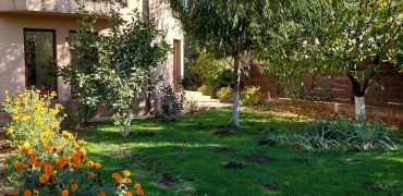 Casă de vânzare Domnești Teghes – proprietate individuală, zonă verde, aproape de București