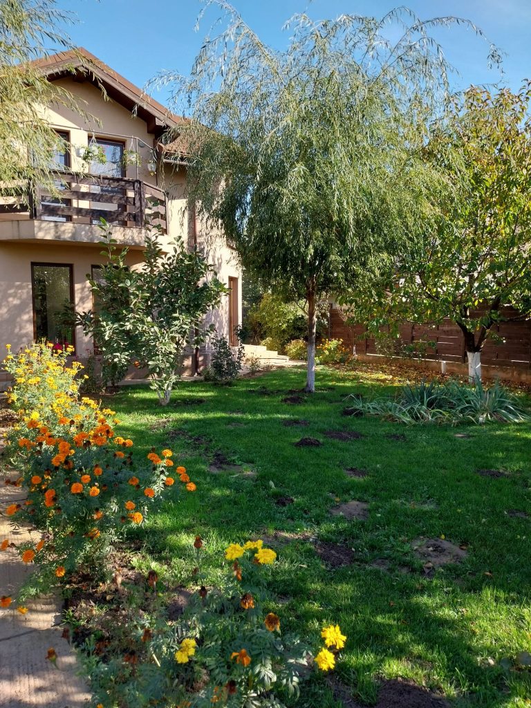 Agentie imobiliara sector 1 Casă de vânzare Domnești Teghes – proprietate individuală, zonă verde, aproape de București – Agentie IMOBILIARA sector 1