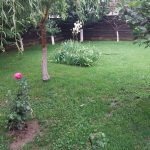 Agentie imobiliara sector 1 Casă de vânzare Domnești Teghes – proprietate individuală, zonă verde, aproape de București – Agentie IMOBILIARA sector 1