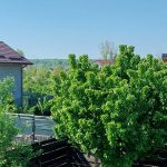 Agentie imobiliara sector 1 Casă de vânzare Domnești Teghes – proprietate individuală, zonă verde, aproape de București – Agentie IMOBILIARA sector 1