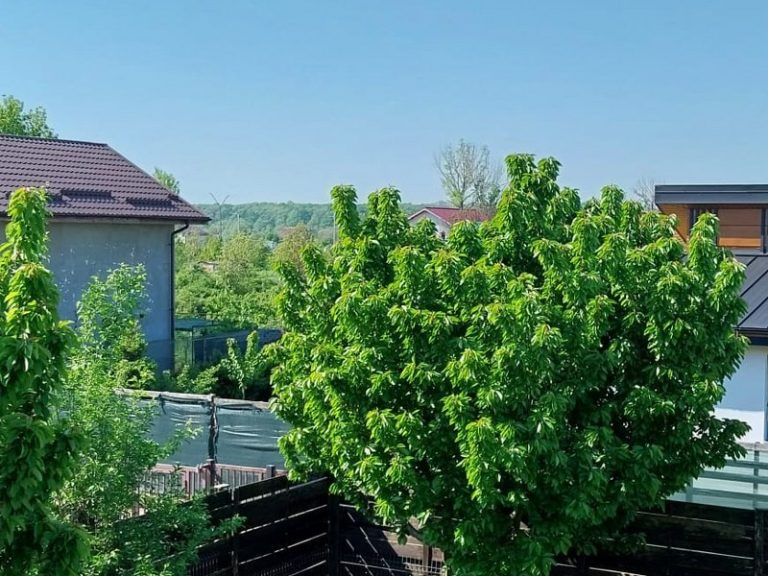 Agentie imobiliara sector 1 Casă de vânzare Domnești Teghes – proprietate individuală, zonă verde, aproape de București – Agentie IMOBILIARA sector 1