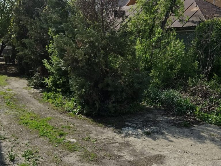 Agentie imobiliara sector 1 Teren intravilan 709 mp cu deschidere mare – Stefanestii de Jos, Ilfov – ideal casa – Agentie IMOBILIARA sector 1