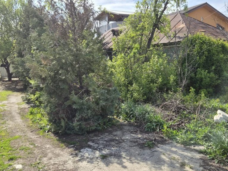Agentie imobiliara sector 1 Teren intravilan 709 mp cu deschidere mare – Stefanestii de Jos, Ilfov – ideal casa – Agentie IMOBILIARA sector 1
